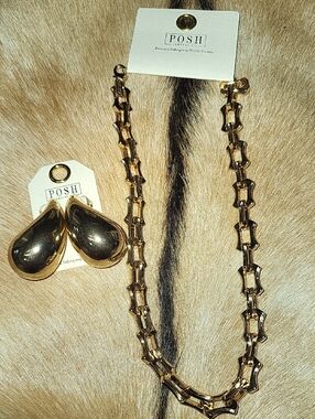 Posh Gold Link Necklace with Gold Teardrop Earrings Set